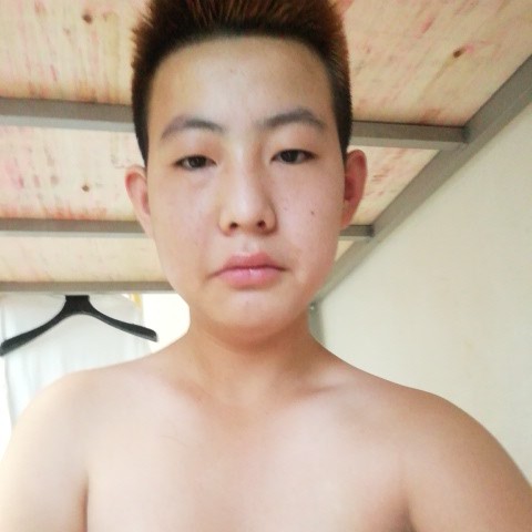 白猫遇見魁梧的照片