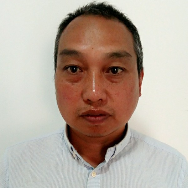 芹菜机智的照片