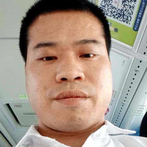 玉米秀丽的照片