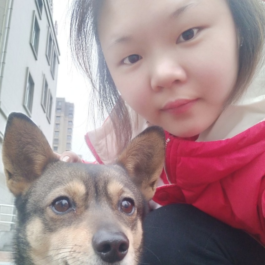 稚终的照片