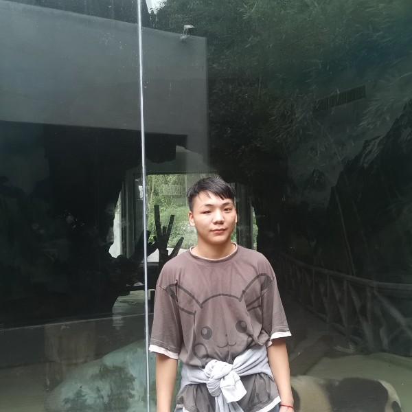 小海豚多么儒雅的照片