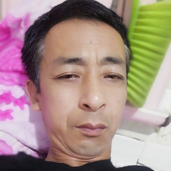 乌龟浅吻真淳的照片