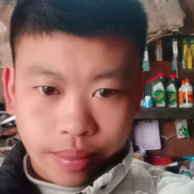 相思在风雨中等的照片