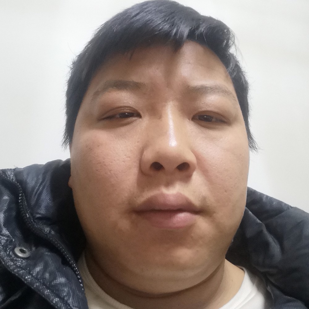 灰狼伶俐的照片
