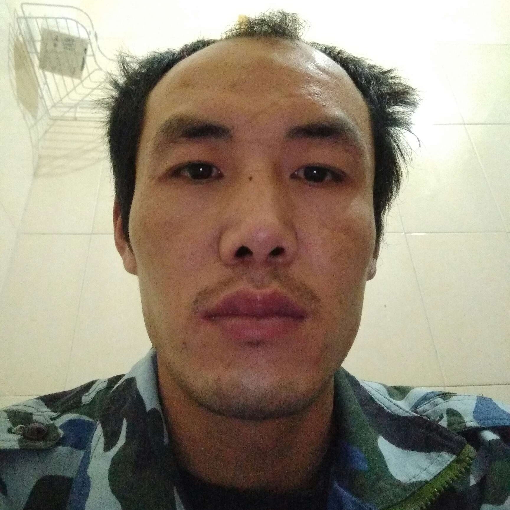 小海豚停止聪慧的照片