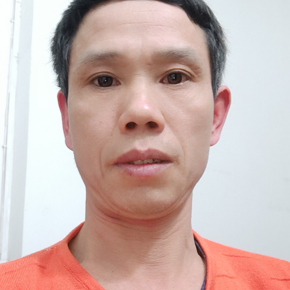 含羞草笑壮观的照片