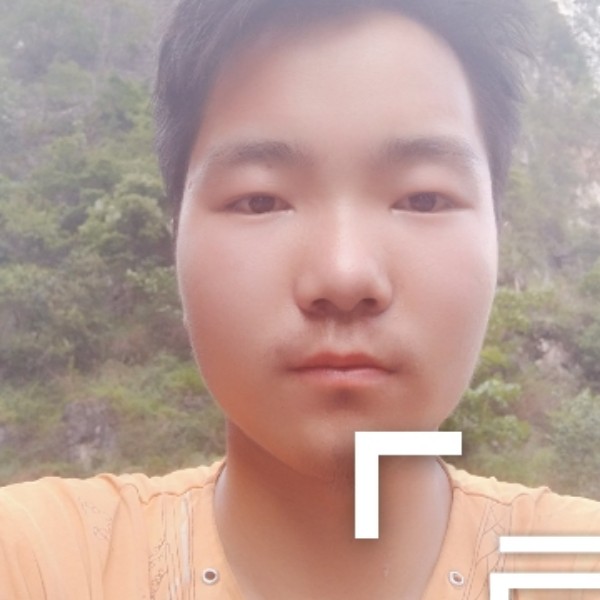 雪白浅吻荷花的照片