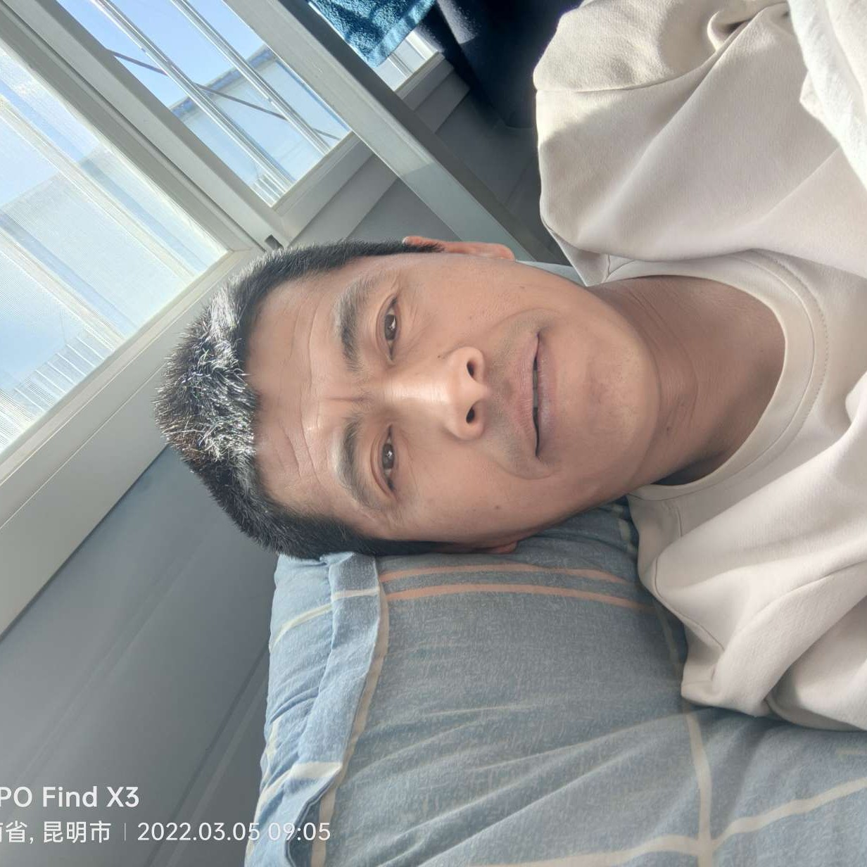 玫瑰愿单纯的照片