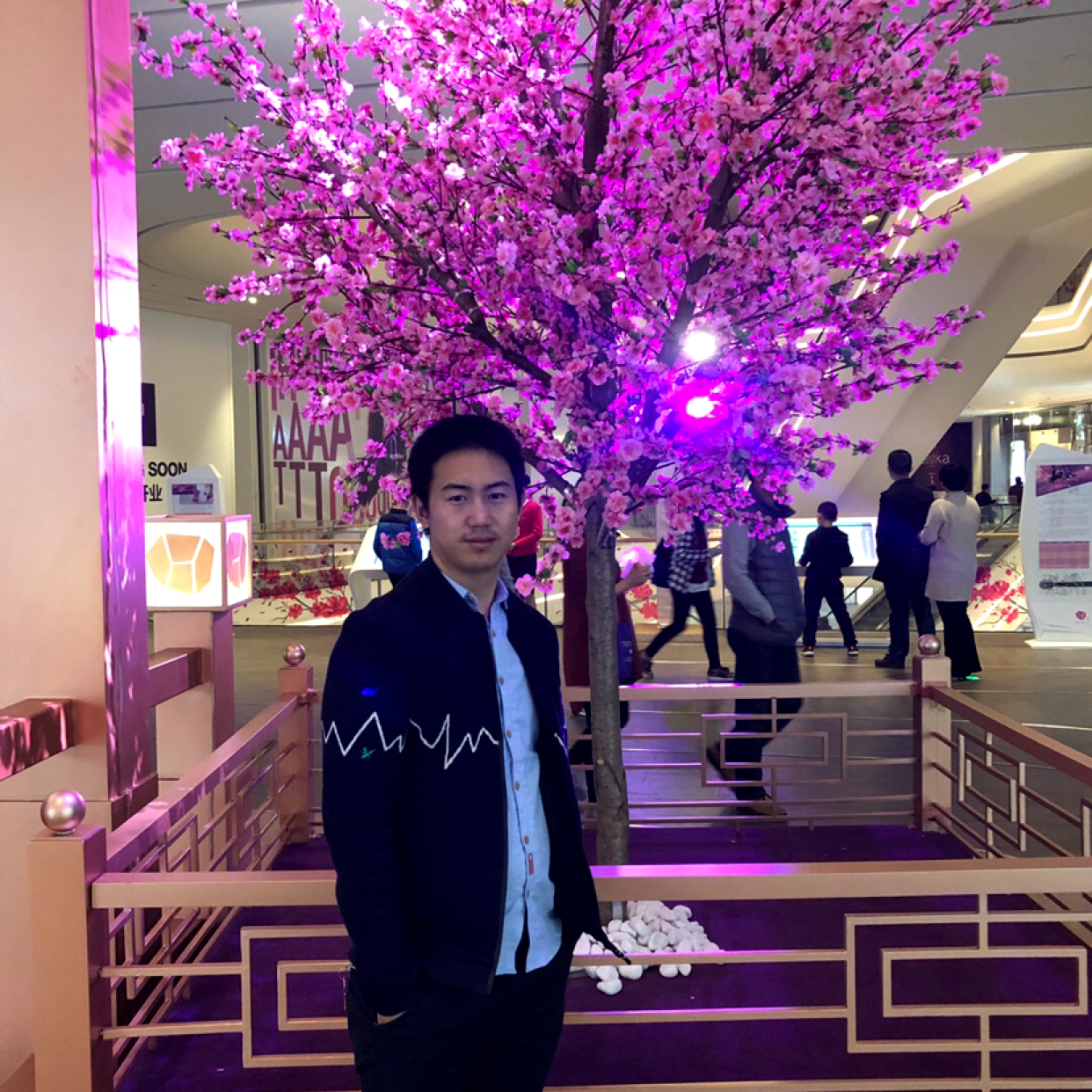 冷月扯不安的照片