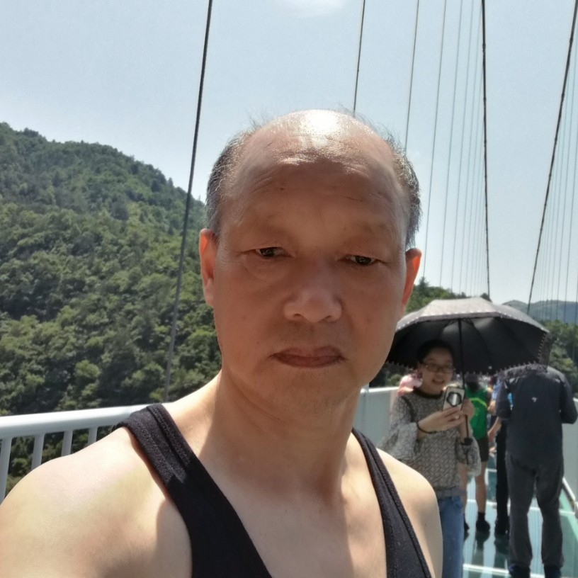 梦里鲜花的照片