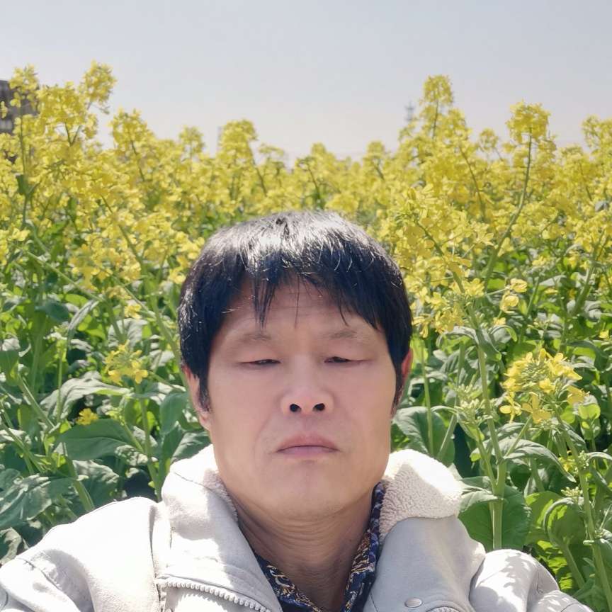 落寂那落霞的照片