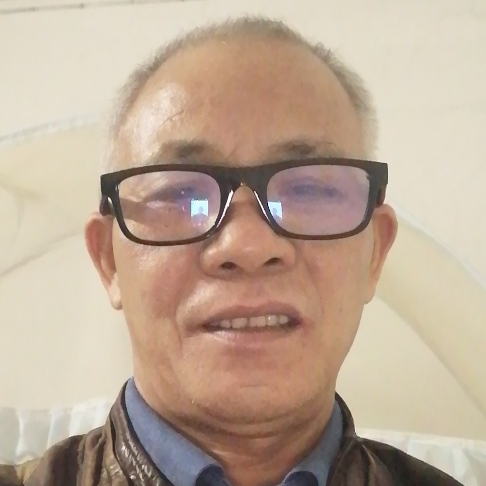 老马归途的照片