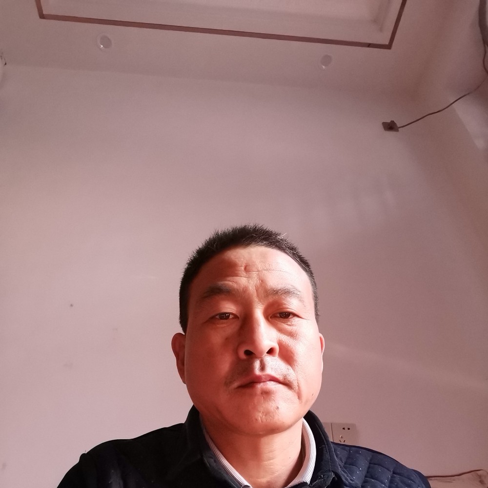 小鸭子深拥虚幻的照片