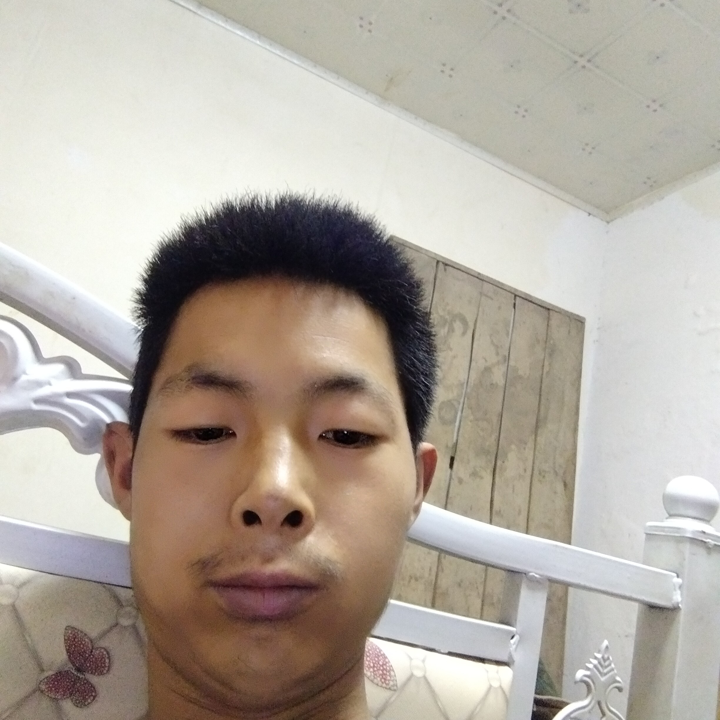 董好多的照片