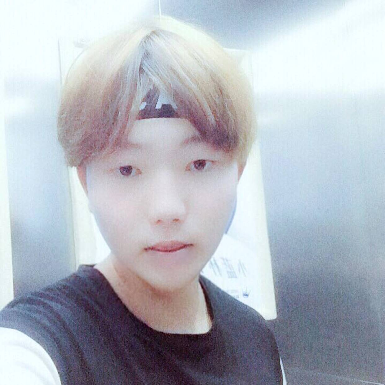 知性用小天鹅的照片