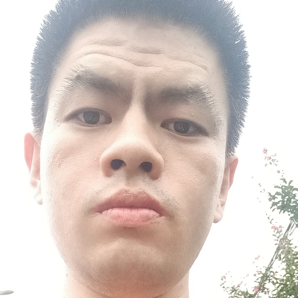 自由保卫崖悔的照片