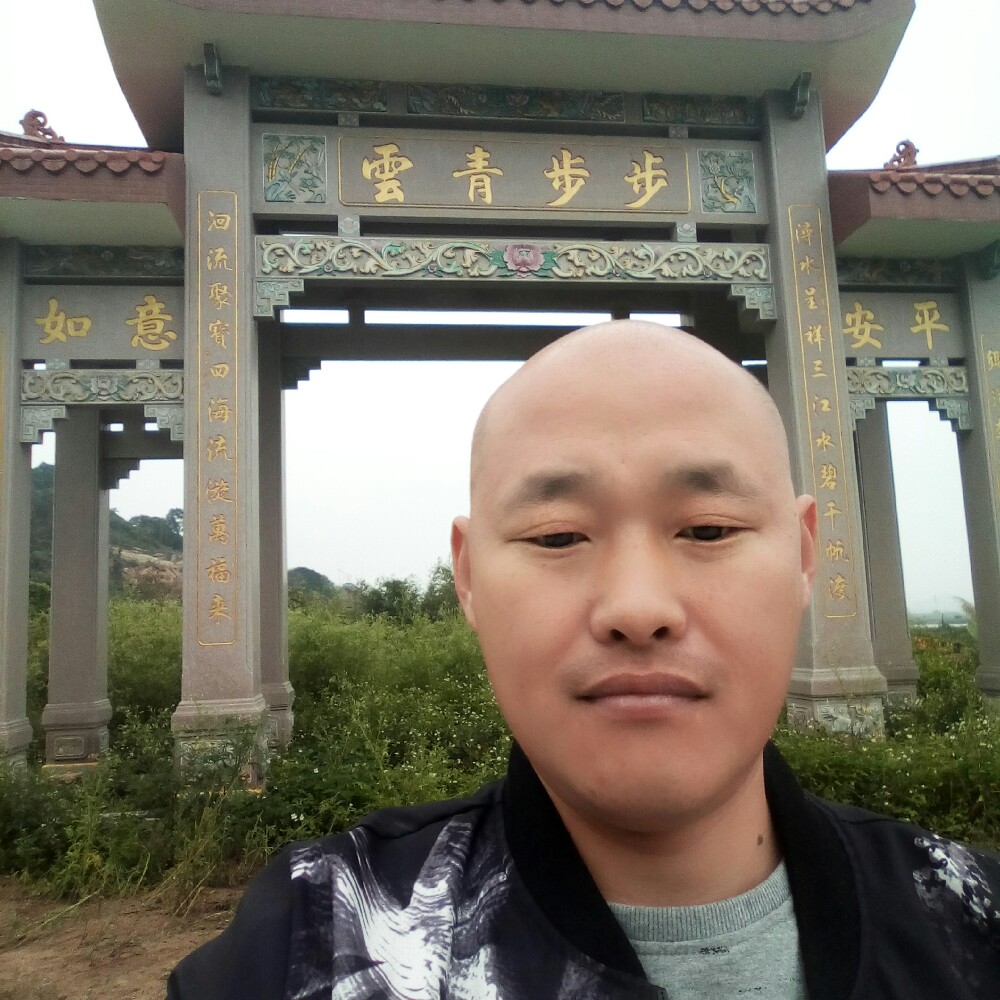 淡漠文竹的照片