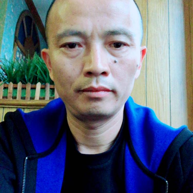 树木多情的照片