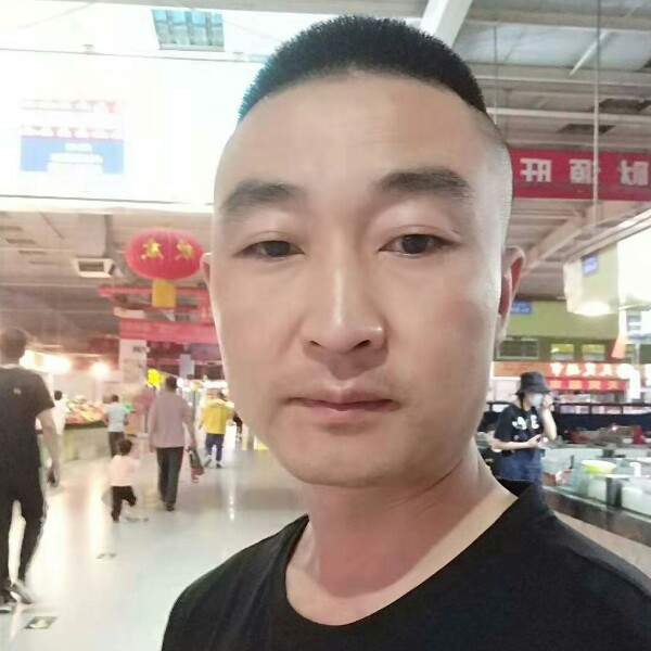 清晨的枫的照片