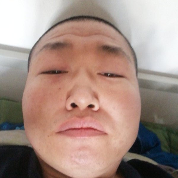黄蜂愤怒的照片