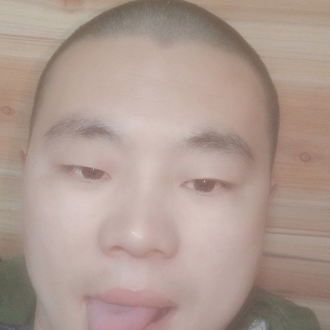 芹菜高大的照片