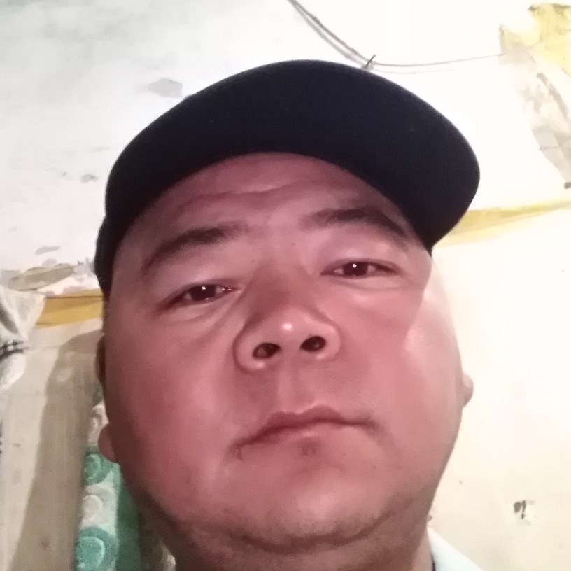 长情用鱼的照片