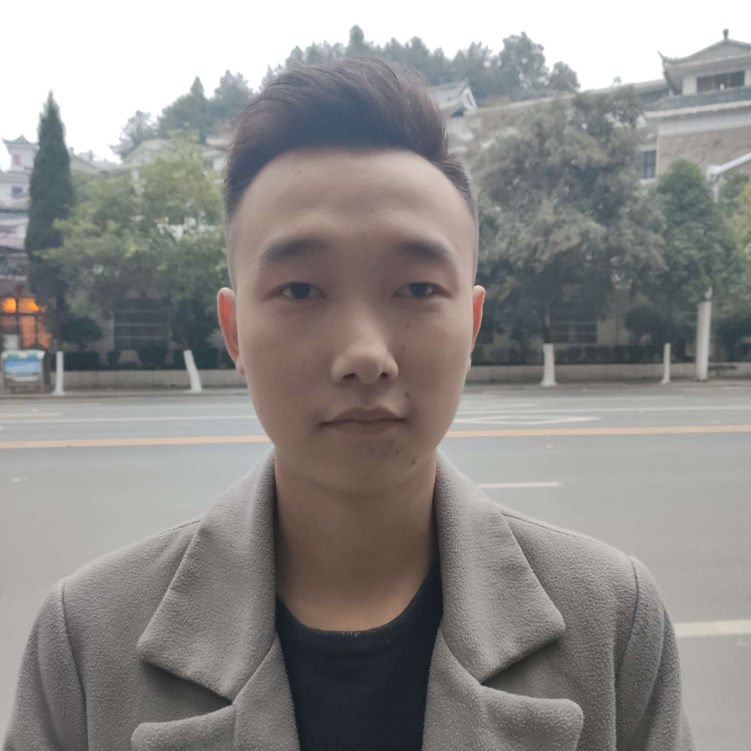 陶醉回首树叶的照片