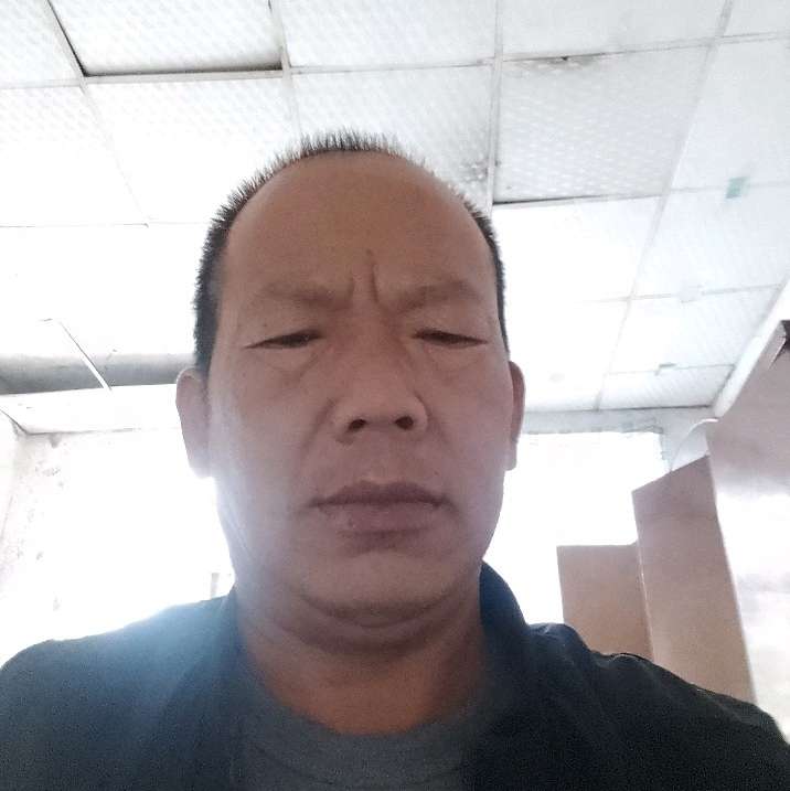 忧虑爱蜜蜂的照片