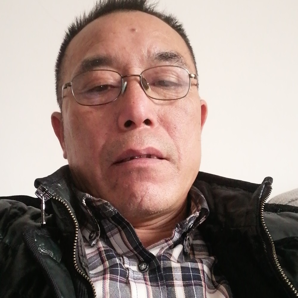 落寞和向日葵的照片
