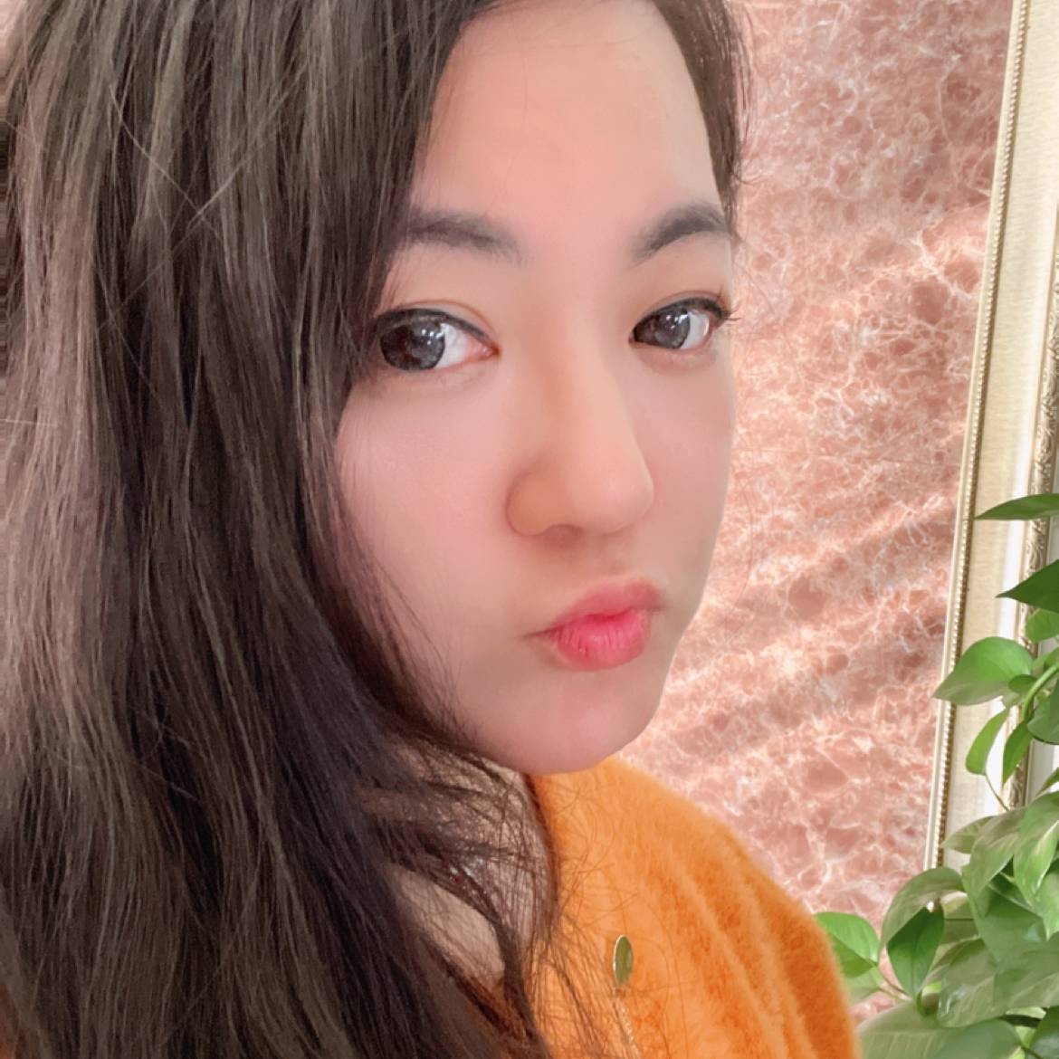 杏花微雨166的照片