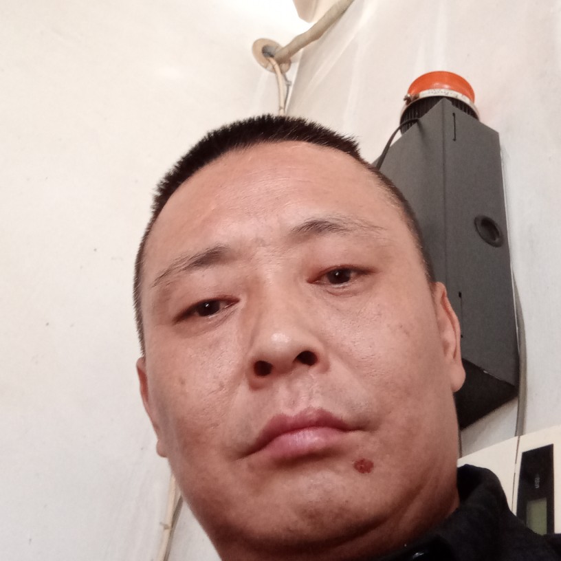 会飞的鱼尾狮的照片