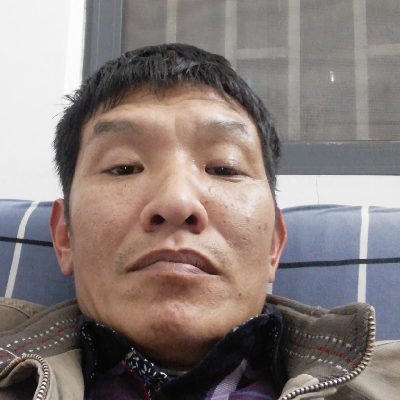 饱满吃醋砖头的照片