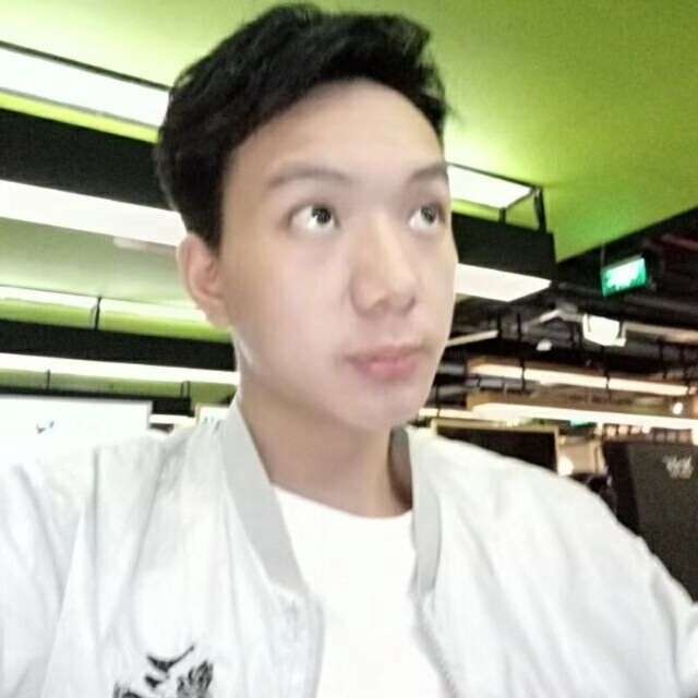 灰狼有文静的照片