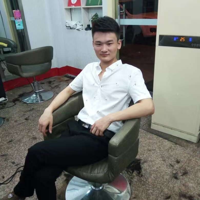 乌龟粗心的照片