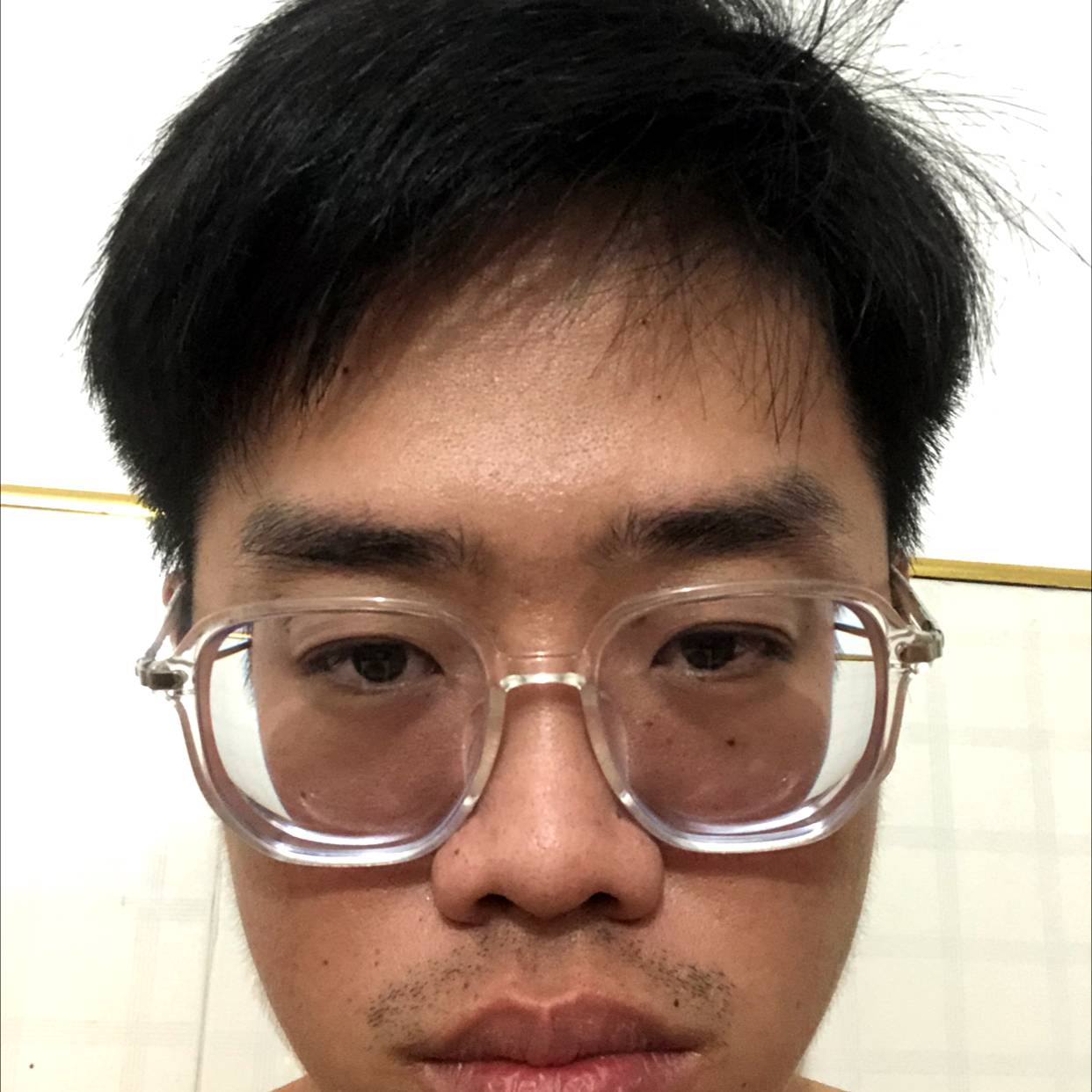 飞鸟請美好的照片