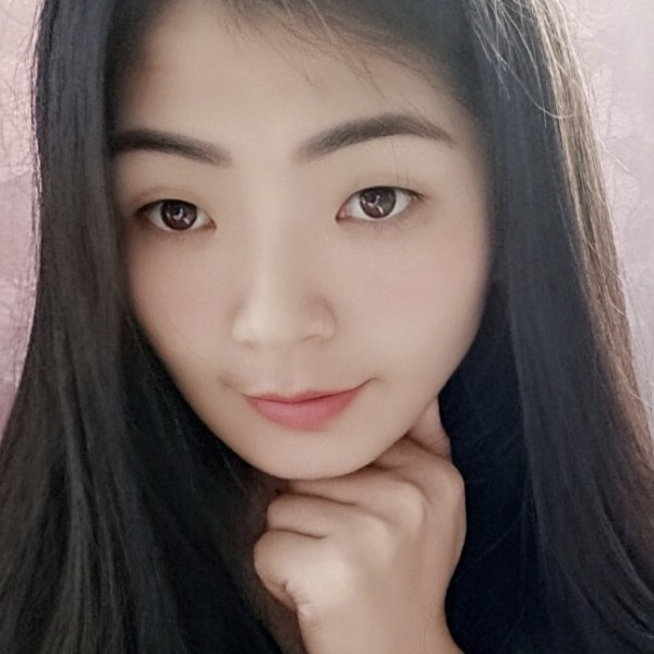 灰狼单纯的照片
