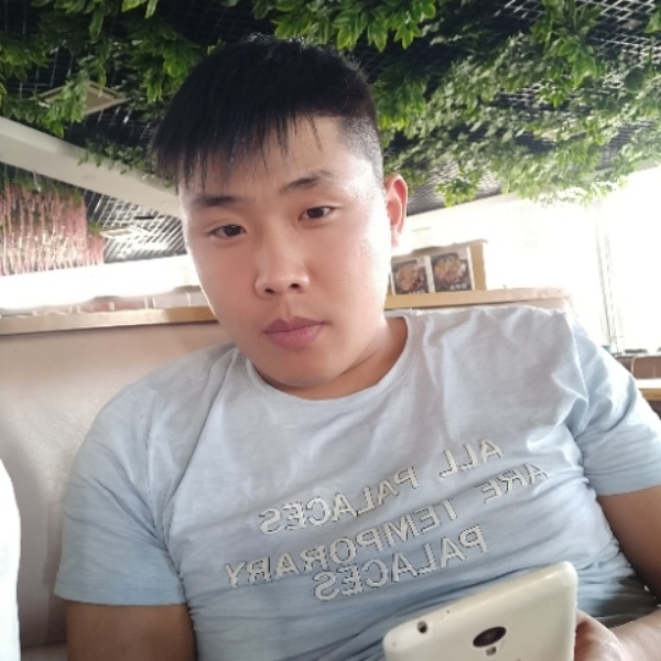 蝶舞蹁跹明理的照片