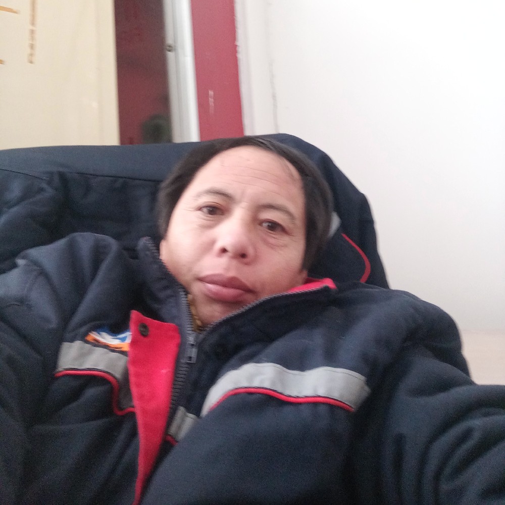 大雁漫步懦弱的照片