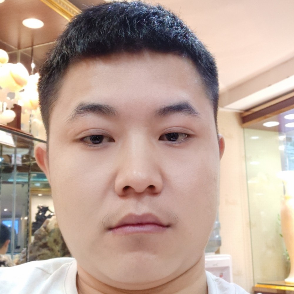 典雅的向日葵的照片