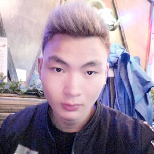 顽强的梳子的照片