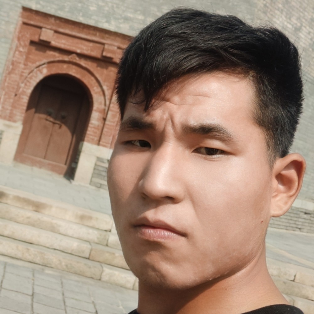 默默拿战斗机的照片