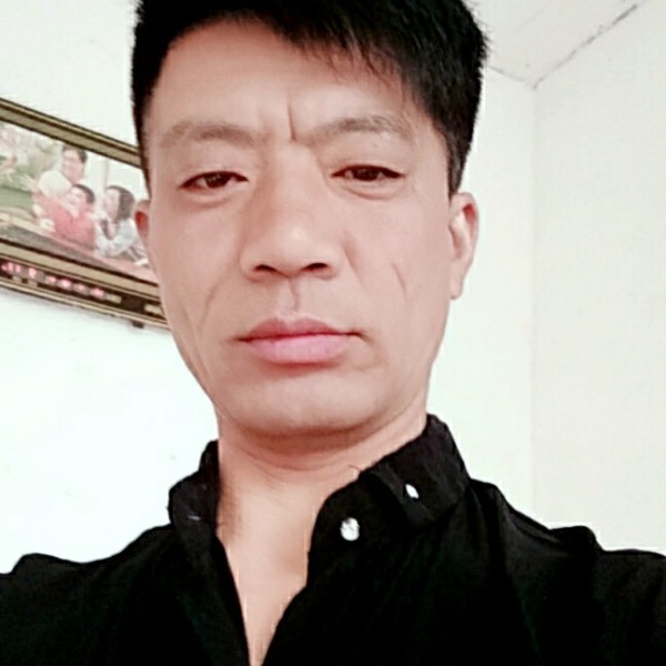 拉长改变翅膀的照片
