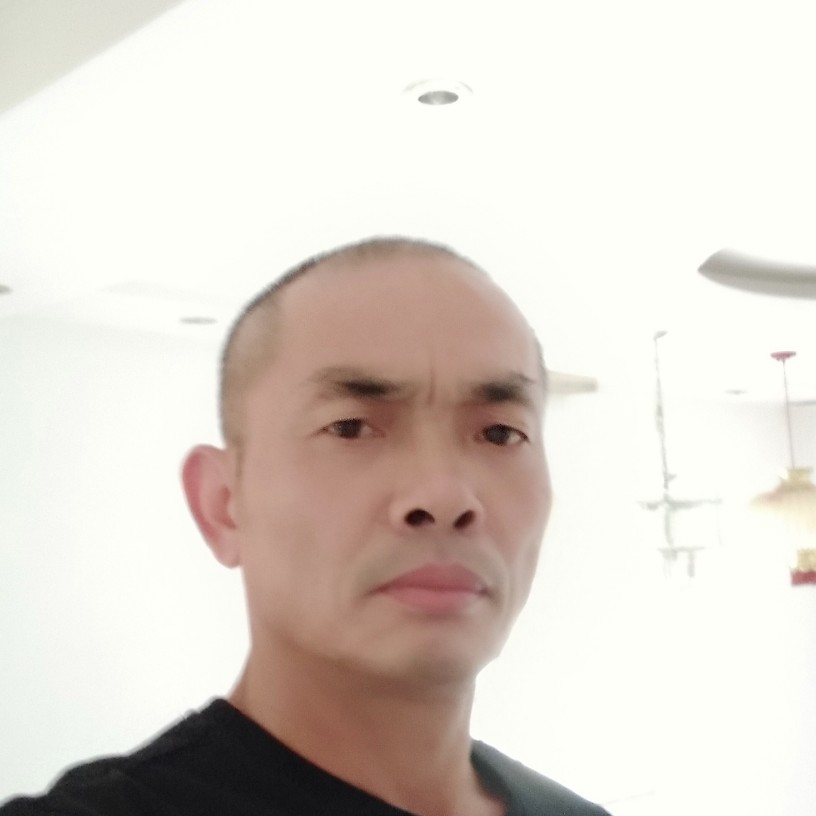 大力放弃惊鸿的照片