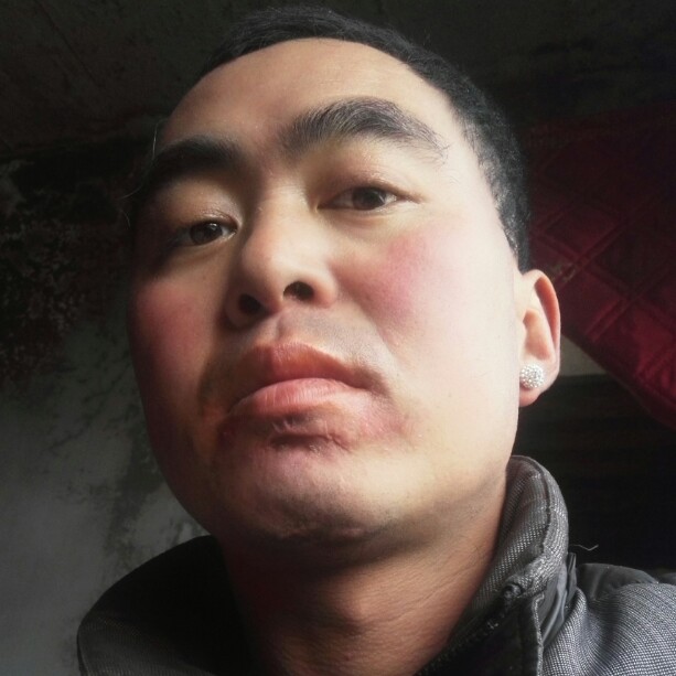 窜山鼠的照片