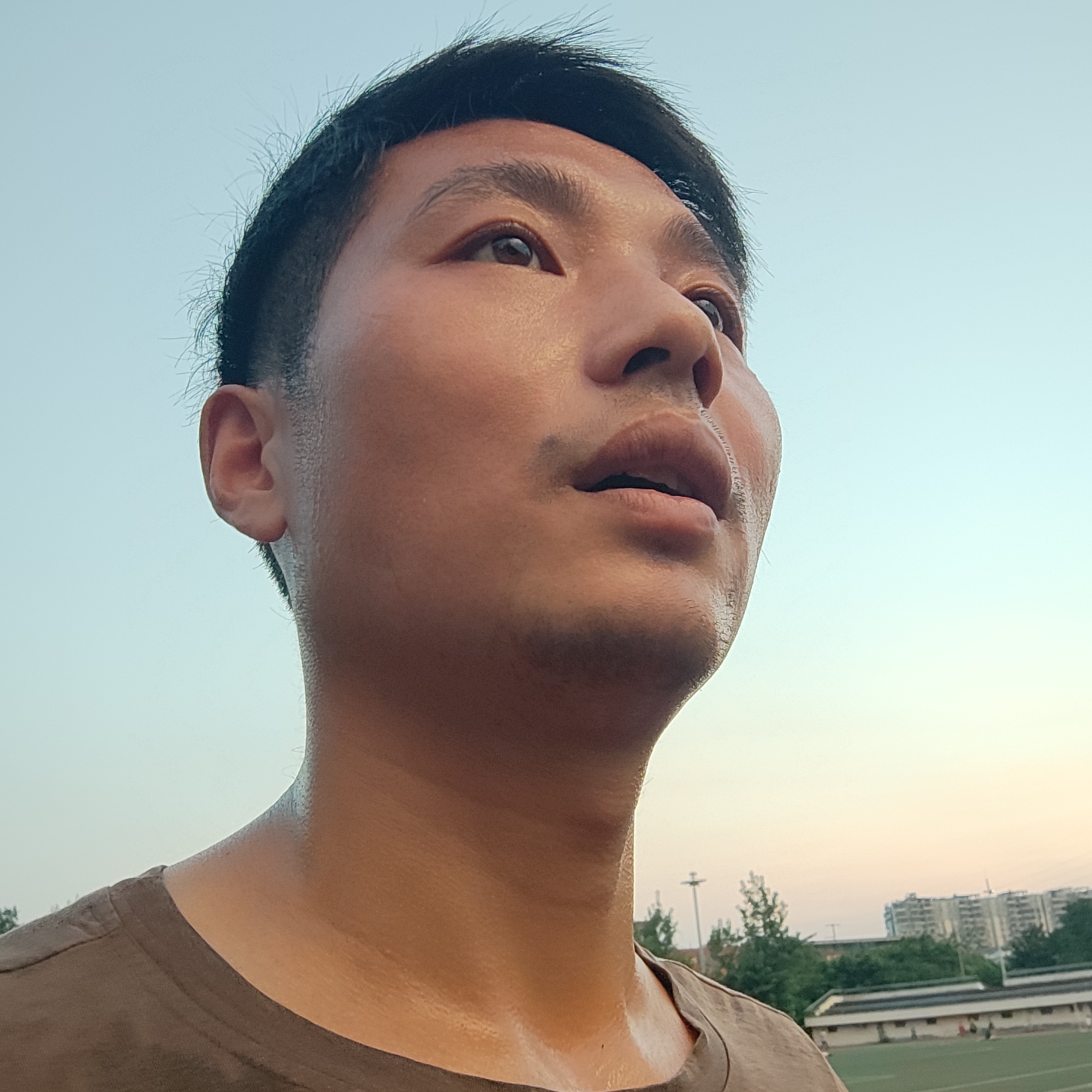 雪碧等待忧心的照片
