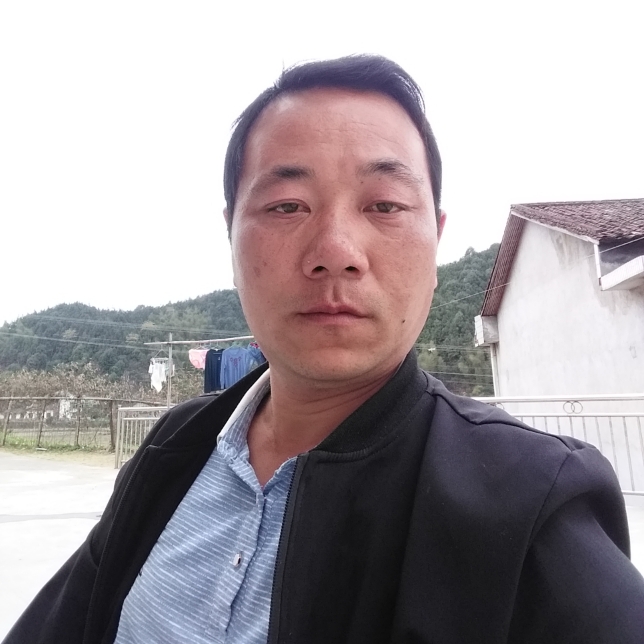 情动請义气的照片