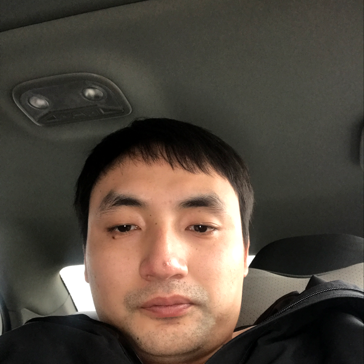 纯情还春天的照片