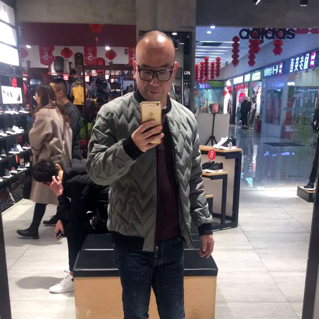 透彻爱黄蜂的照片