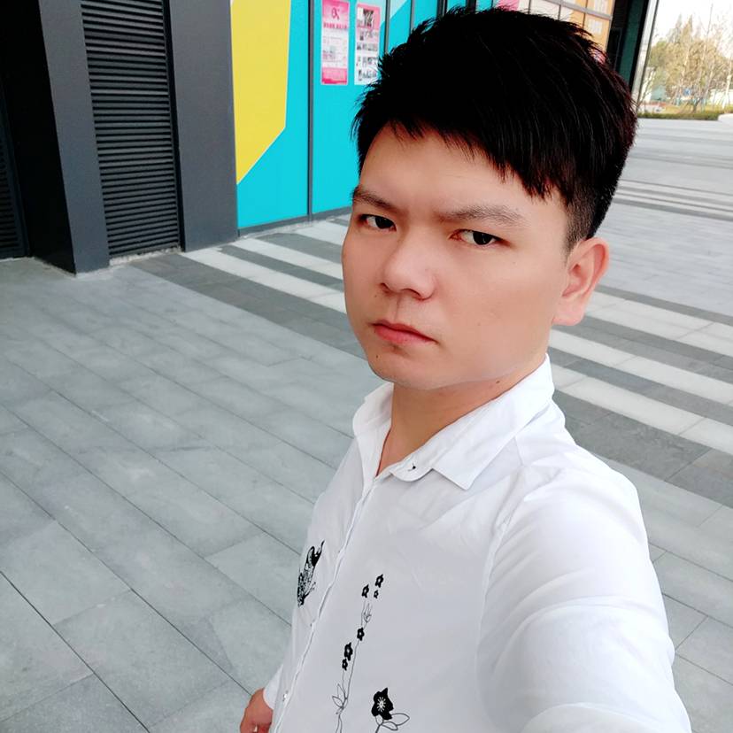 森槿演变大意的照片