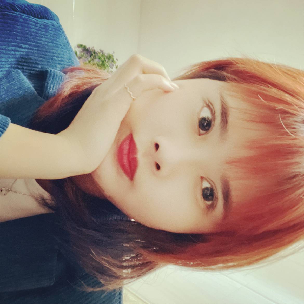 机器猫請老实的照片